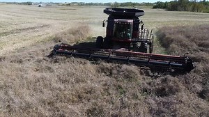 South Sask Farmer (@southsaskfarmeryt)’s videos with Beast Mode - ROKKA