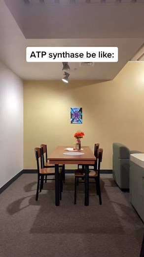 ATP Synthase: Unraveling the Molecular Helicopter of Biology