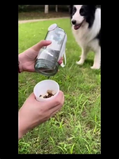 2-in-1 Travel Water Cup #viralvideo #petcare #petlover #petaccessories #shorts ‪@amazon‬