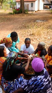 32K views · 1.3K reactions | Happy Independence Day, Ghana !This Ghana Month, let’s celebrate our rich culture as we take you on a culinary journey through the indigenous flavors of Ghana. Our Food, Our Pride, Our culture & Our heritage. We came together as a unit and made fufu with Nkatekonto while celebrating the good times and having light hearted banter. What are your plans for this Independence Day?Videography by: @akushiqa.q @asqfoods @asqstudios_ | Williams Nana Kyei | Facebook