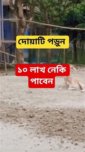 ১০ লাখ নেকি পাবেন#islamicvideo #allahuakbar #viralvideo