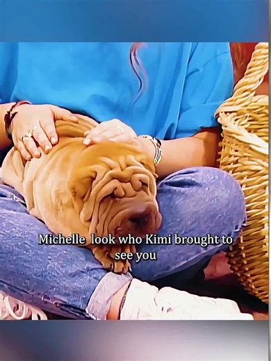 Full House Season Recap: Puppies and Family Visits