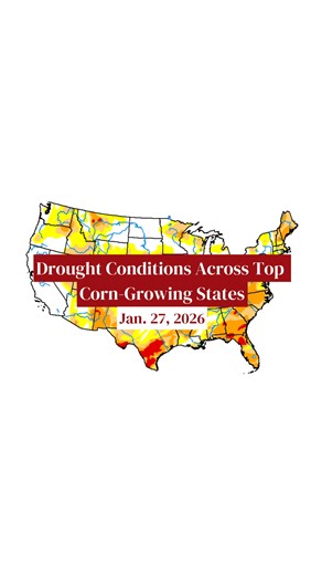 The latest U.S. Drought Monitor maps are out 📊❄️ See how the weekend’s winter storm impacted drought conditions across the top 18 corn-growing states 🌽🌧️ #USDroughtMonitor #AgWeather #CornBelt #DroughtWatch #FarmWeather #AgNews | Successful Farming