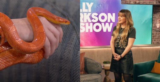 Why the 'Snake Lady' Made an Unexpected Appearance on 'The Kelly Clarkson Show'