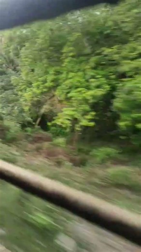 train travel #minivlog#love song#music#dailyvlog#