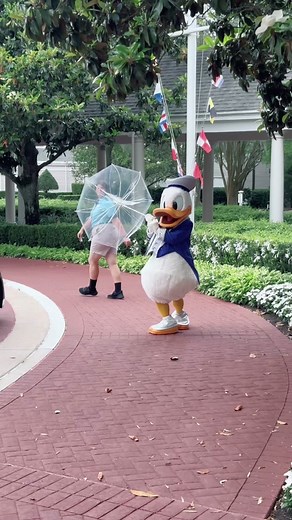 Donald Duck and Goofy in Rainy Weather at Disney World