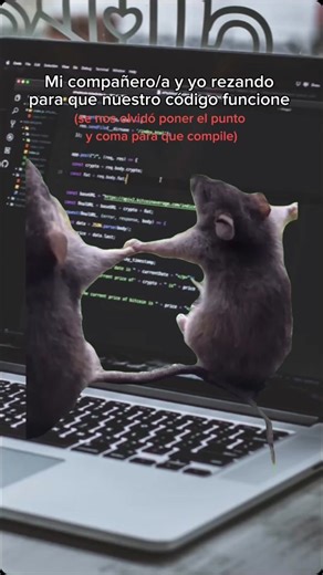 #ingenieria #informatica #sistemas #codigos #meme #CapCut #fake #estudiantes #universidad #programacion #foryoupage #parati