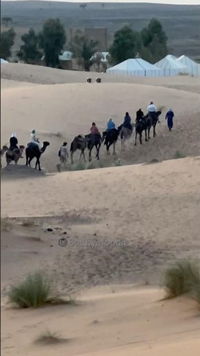 Camel Ride Into the Sahara Sunset 🌅🐪 | A Magical Desert Journey