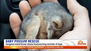 6.5K views · 268 reactions | A Kangaroo Island farmer has saved a possum joey from near-certain death after the creature lost its mother in the bushfire aftermath  | Sunrise | Facebook