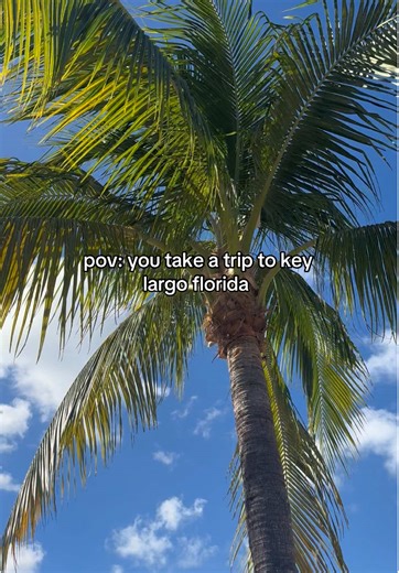 Exploring Key Largo: A Scenic Road Trip Adventure