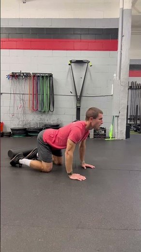 Cat Cow (Cat Camel) | Spine Mobility & Core Stability Exercise