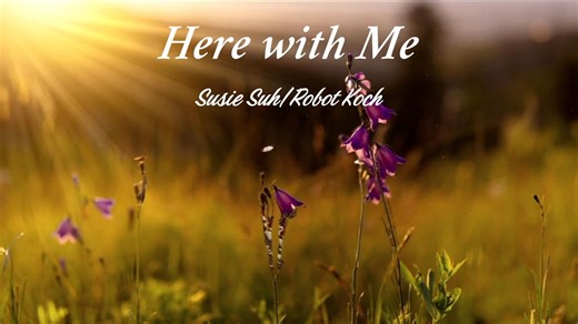 经典欧美歌曲分享《Here with Me》