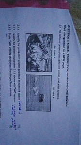 QUESTION 3: ANIMAL PRODUCTION, PROTECTION AND CONTROLThe pict... | Filo