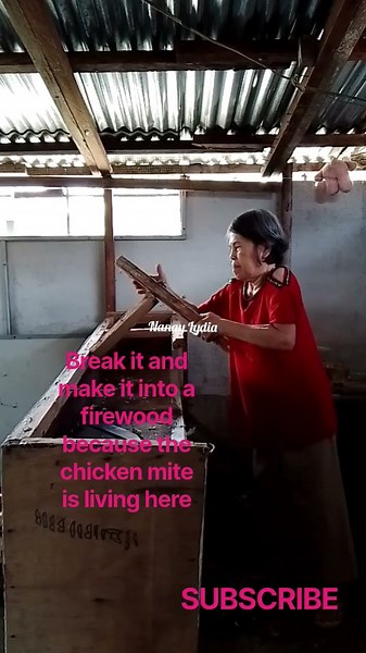 chicken mites lived in the shelves so I'm getting rid of it