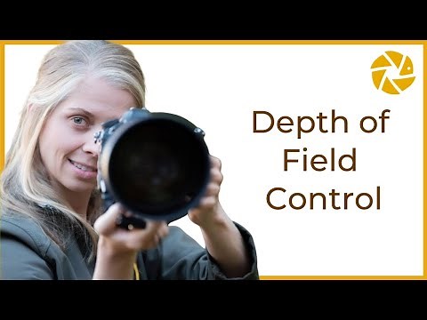 Depth Of Field - 4 SIMPLE ways to control your DOF in Wildlife Photography
