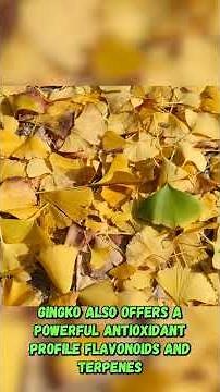 Gingko for heart and blood health! #herbal #naturalmedicine #naturalremedy #natural
