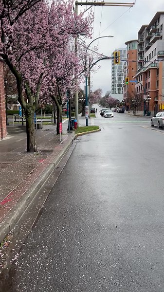 Mother nature heals on TikTok