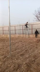 11K views · 118 reactions | Completed Trellis work of one of our Projects.for booking feel free to call:7006160885 | Hi-Five Agro Skills | Facebook