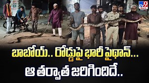 Love Marriage: ప్రేమ పెళ్లి చేసుకునే వాళ్లకు..పిడుగు లాంటి వార్త