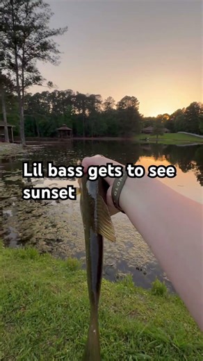 Had to show his #fishing #bassfishing