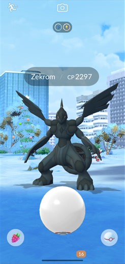 ZEKROM RAID IS LIVE! ⚡ Shiny Zekrom Hunt | Pokémon GO #pokemon #shorts
