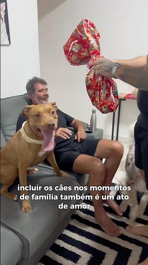 GANHANDO PRESENTE DA VOVÓ 🫶🏻 #pitbull #cachorros #pets #humor #bordercollie #rotina