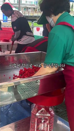 문경 오미자 축제 2026