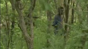 In case you missed it on ZNBC | The Zambia Army