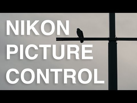 Are Nikon Picture Control's Any Good?