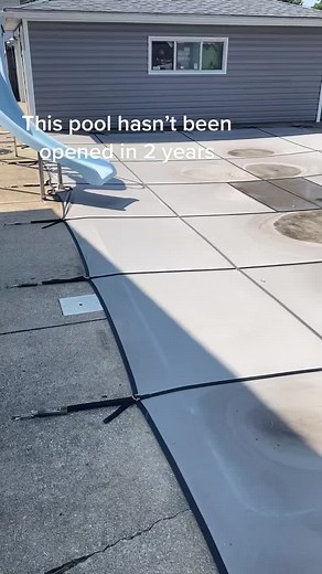 Reviving a Neglected Pool After 2 Years | Algae Removal DIY