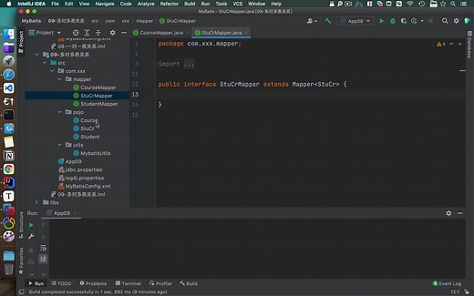 10-多对多关系通用mapper操作