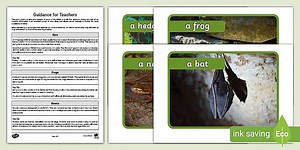 Hibernating Animals Photo Pack