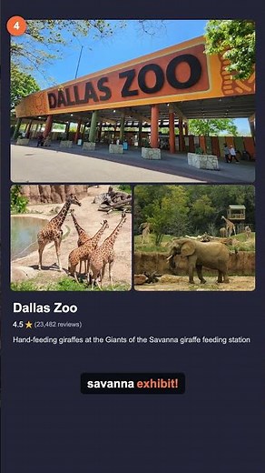 Top 5 Things To Do With Kids in Dallas, TX | Family Fun Guide