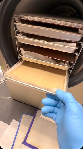 See you in 18-24 hours……😴 @grandmasterleds @grandmasterlevel @cropsalt @currentcultureh20 @rosinevolution10 @hydra_unlimited @nuravine @growerguild 10% GML discount code (CANNAB) https://grandmasterleds.ca/?ref=PRESTONBJORNSON 5% off Cch20 products ⬇️⬇️⬇️⬇️ https://www.cch2o.com/?ref=jqkujbvz | Preston Bjornson