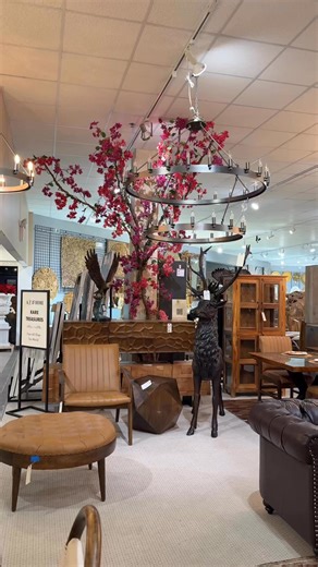 ✨ Bringing Spaces to Life — Commercial & Residential Floral Design at IMS ✨ As we become more active on social media, you’re going to start seeing more of what IMS truly offers — not just for residential spaces, but for commercial environments as well. It recently dawned on us that while many of you know our in-store florals, we haven’t fully shown the commercial design possibilities we’re capable of. So consider this your introduction. What you’re seeing in this reel is custom floral design by 