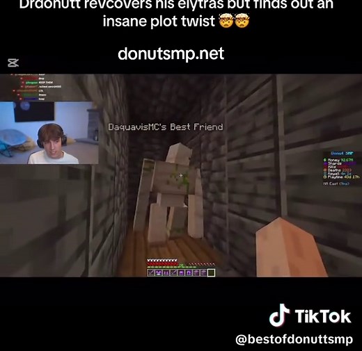 Exploring the Donut SMP: Strategies and Hidden Bases