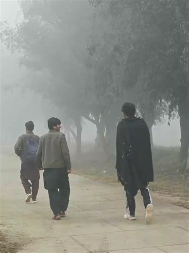 yeh LambA wala 😅😅 #viral #funny #gomaluniversity ##foryourpage