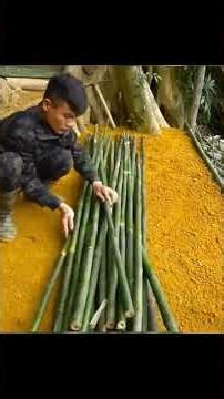 #bushcraft #buildinforest #natureescape