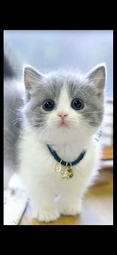 How To Be Pretty 😍