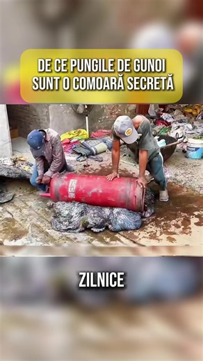 Reciclarea gunoiului: Soluții inovatoare în Pakistan