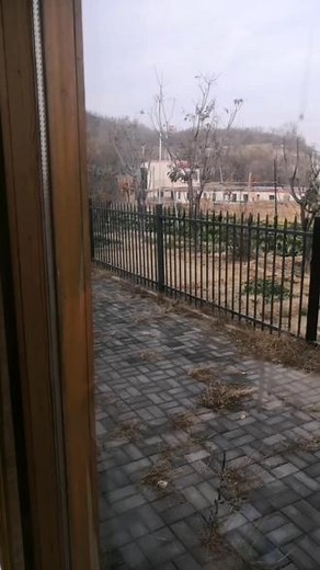 能憋疯 - 85年的🐮🐮