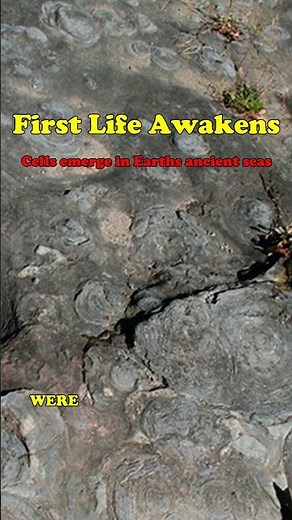 How did life first appear on Earth? #Abiogenesis #Evolution #CellBiology