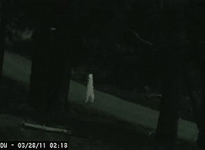 The Fresno Alien/Nightcrawler