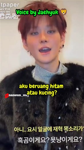 Dubbing Moments with Treasure Members: Junkyu & More