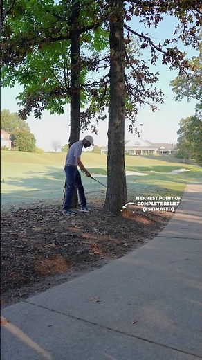 Can you get free relief if you play opposite-handed? | USGA Rules of Golf