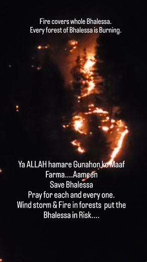Akhyar Ahmed Zargar on Instagram: "Wind storm & Fire in the forests put the whole Bhalessa in Risk. #bhalessa #saveenvironment #saveforest #viralreels #saveanimals"