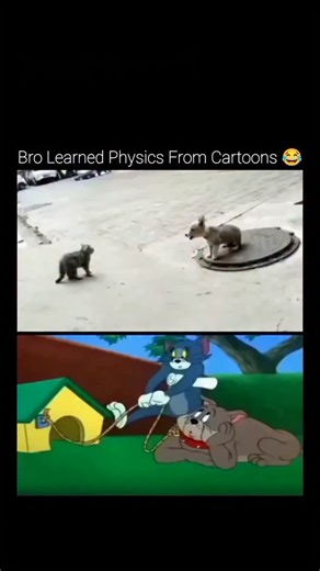 𝘼𝙚𝙧𝙤𝙐𝙣𝙞𝙫𝙚𝙧𝙨𝙖𝙡 on Instagram: "A short video montage humorously compares real-life footage of a cat and a puppy slipping and spinning on a manhole cover with classic Tom and Jerry chase scenes, revealing how cartoon “physics” often mirrors reality. The exaggerated slides, sudden spins, and momentum-driven chaos seen in animation closely resemble real animal movement on low-friction surfaces. The clip highlights how early animators drew inspiration from everyday observations, translati