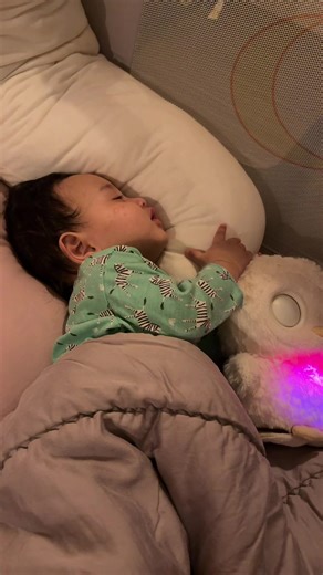 Sweet Goodnight Wishes with Bobo