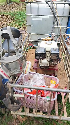 วิดีโอของ ดำรงรัตน์ วงค์สวัสดิ์ (@wongsawat01meedgreed) พร้อมเพลง เสียงต้นฉบับ - กบ บางบ่อ🐸