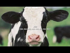 ♡ mooo! — doja cat ミ tradução